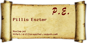 Pillis Eszter névjegykártya